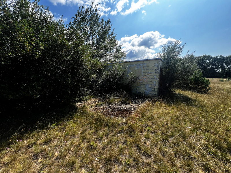 Chippewa Drive-In Theatre - Aug 21 2024